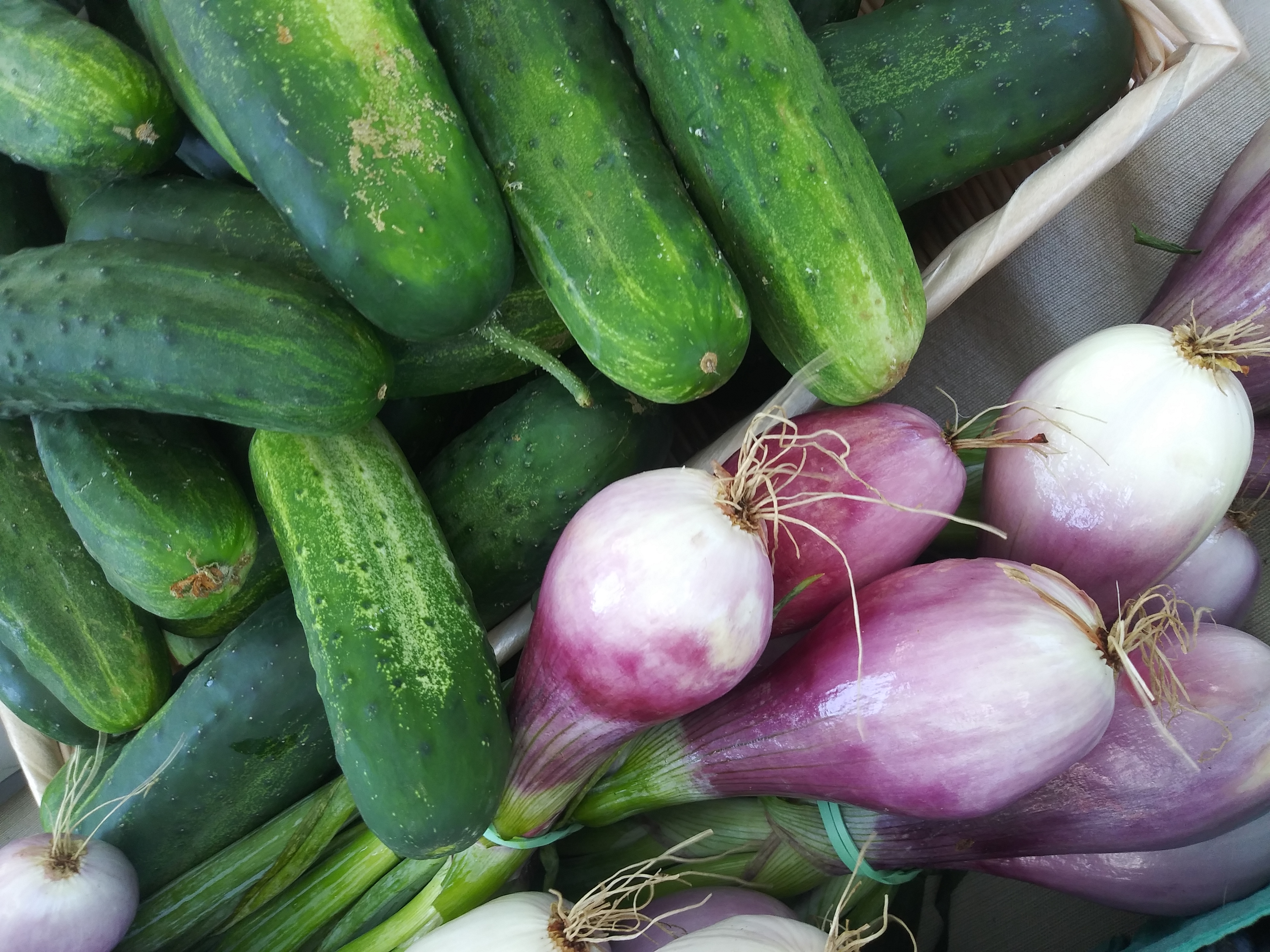Fresh Veggies