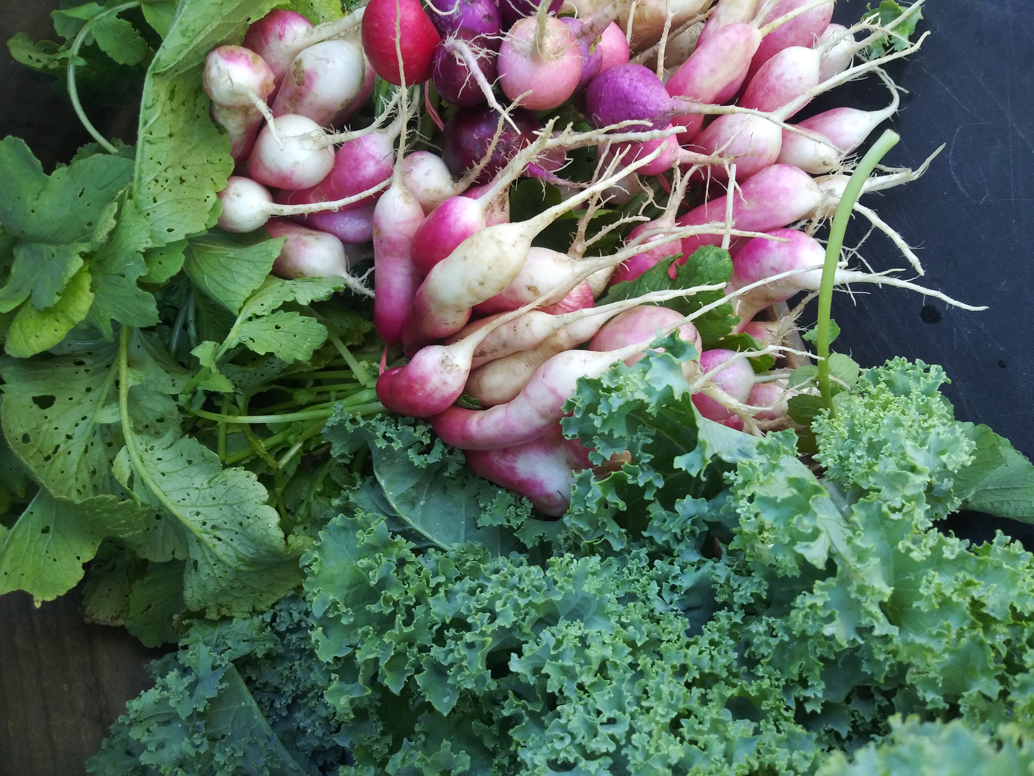 Fresh Veggies