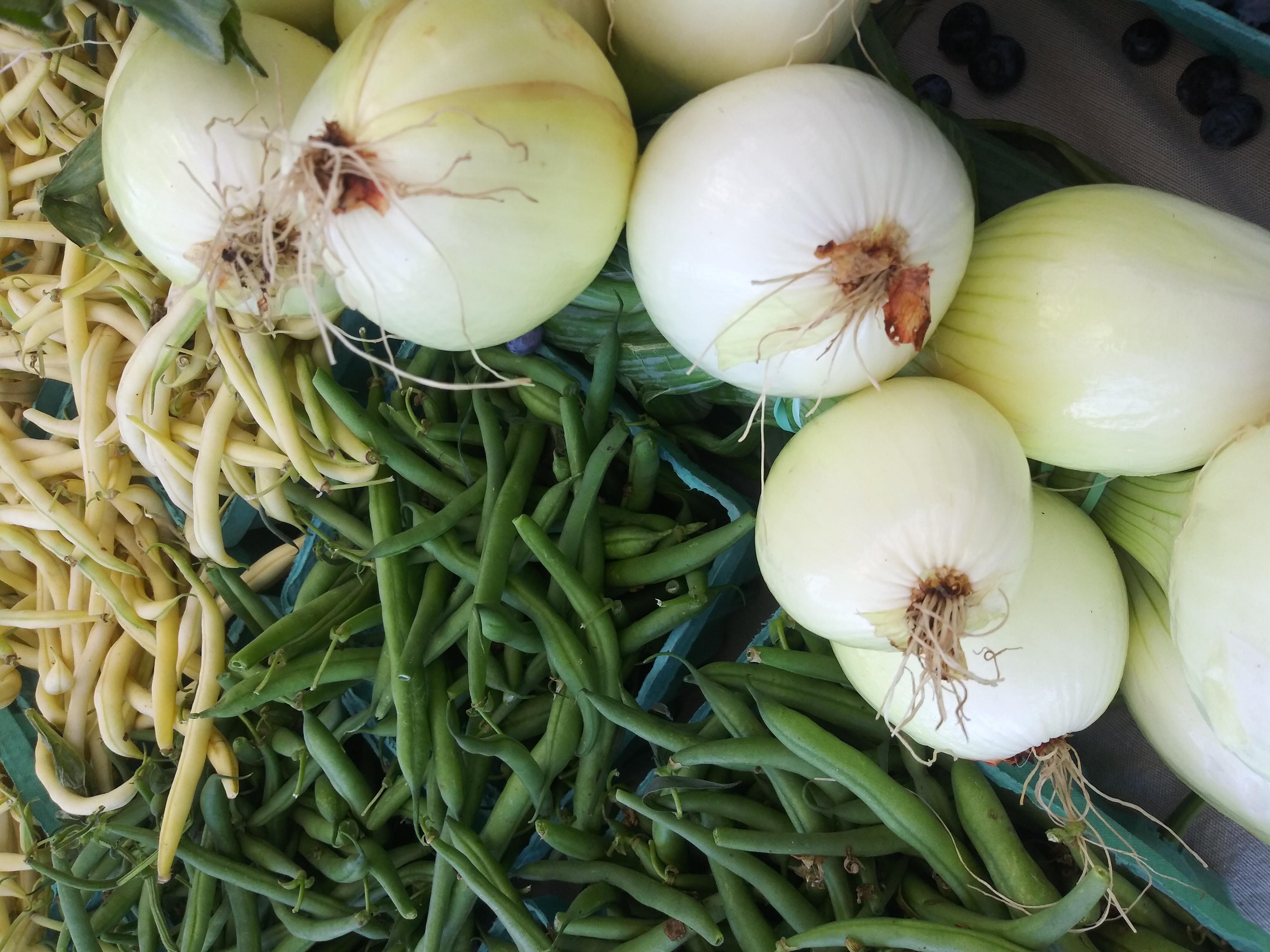 Fresh Veggies