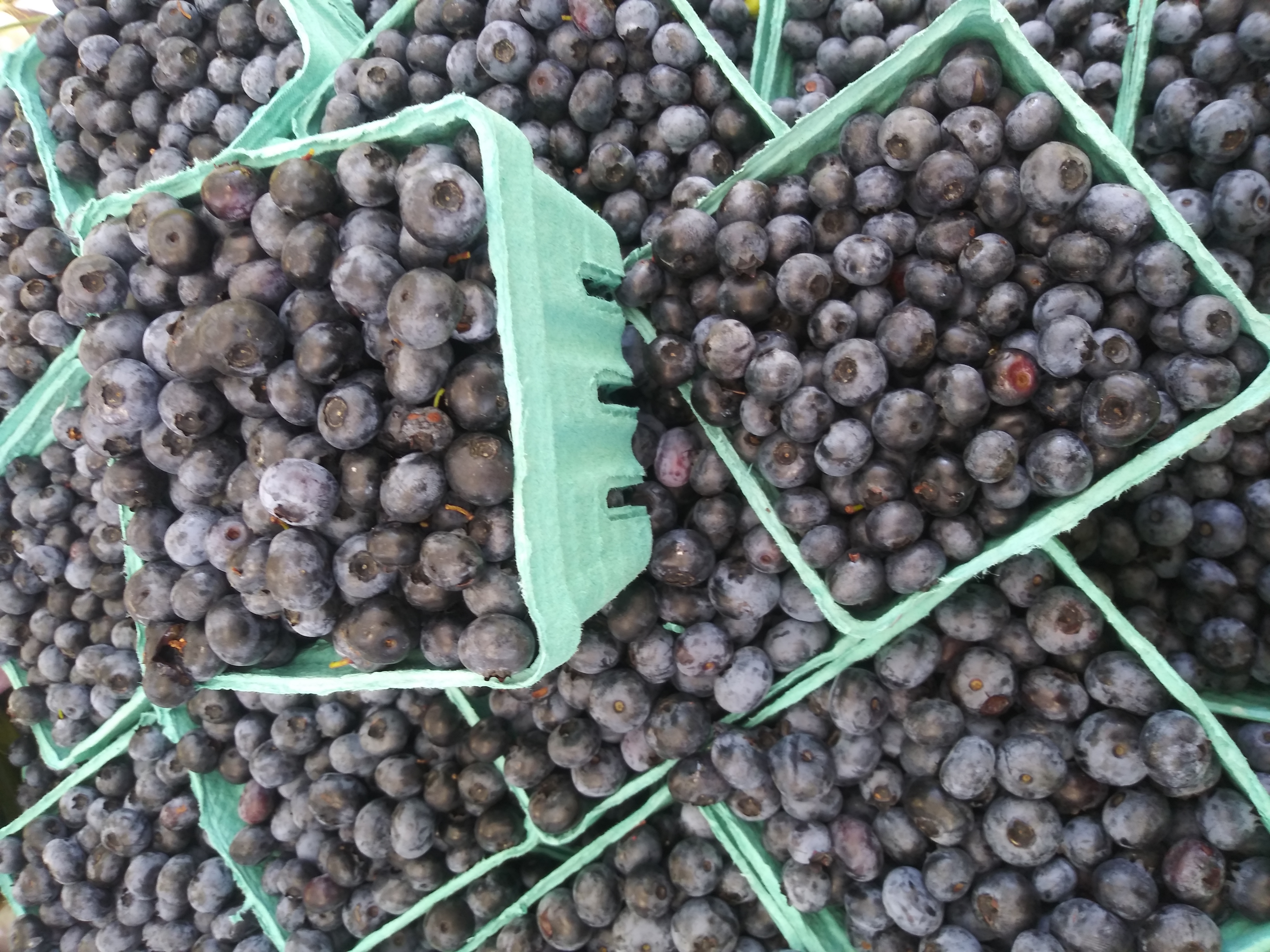 Fruit