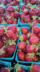 Fruit