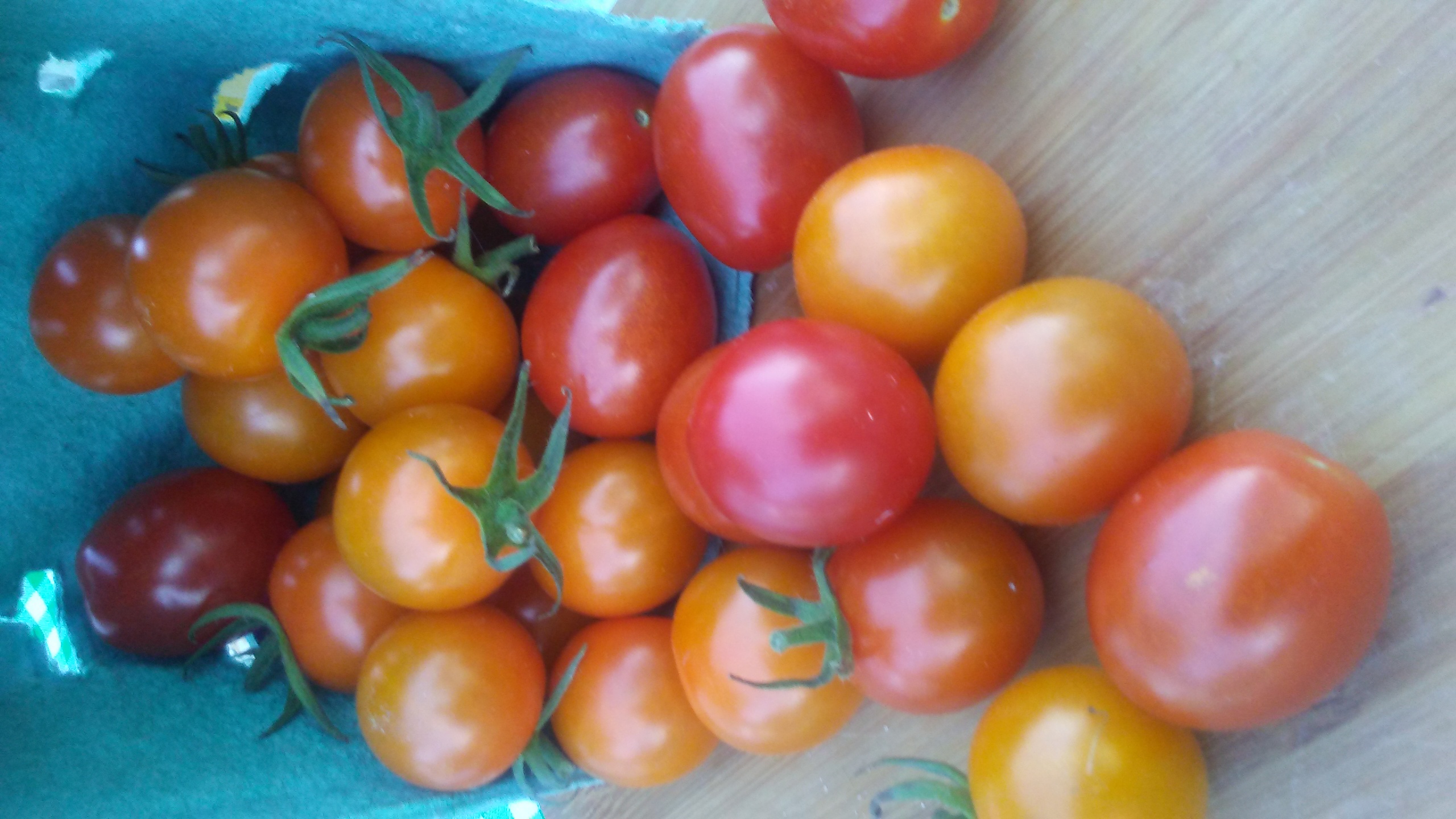 Fruit