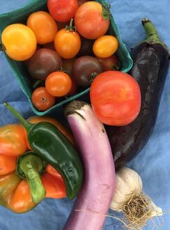A harvest of tomatoes, peppers, eggplant, and garlic