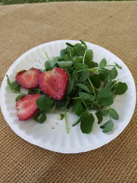 A plate of sliced strawberries and greens